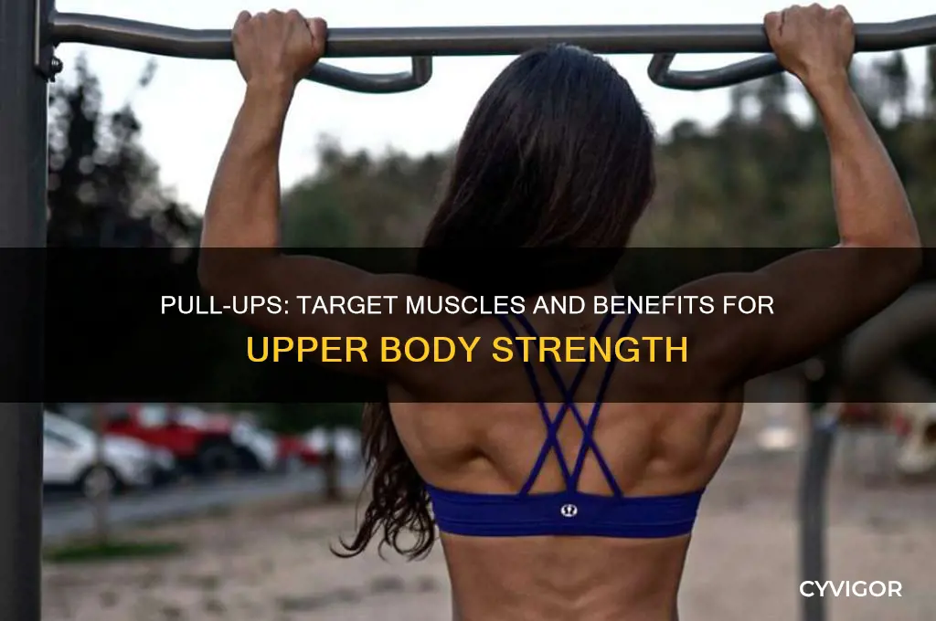 what muscles do you train when doing pull ups