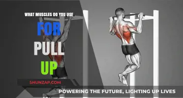 Mastering Pull-Ups: Key Muscles Engaged for Strength and Technique