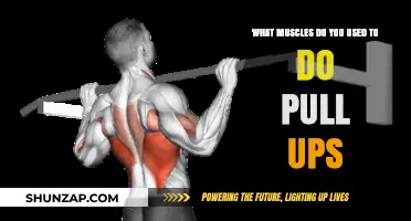 Mastering Pull-Ups: Key Muscles Engaged for Strength and Performance