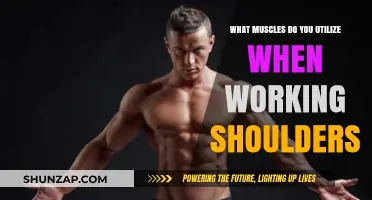 Shoulder Workout Muscles: Unlocking Strength and Stability in Upper Body