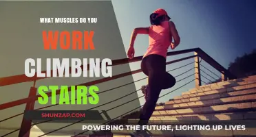 Climbing Stairs: A Full-Body Workout Targeting Key Muscle Groups