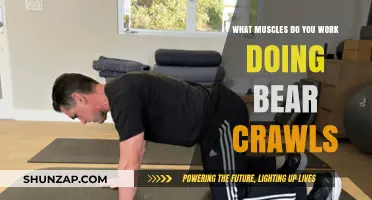 Bear Crawls: Unlocking Full-Body Strength and Core Engagement