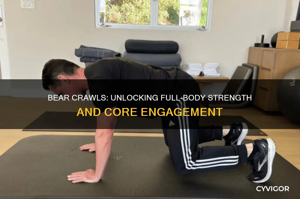 what muscles do you work doing bear crawls