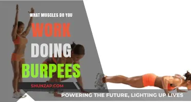 Burpees: A Full-Body Workout Targeting Multiple Muscle Groups