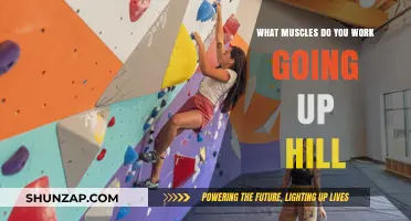 Hill Climbing Muscles: Which Ones Work Hard Going Uphill?