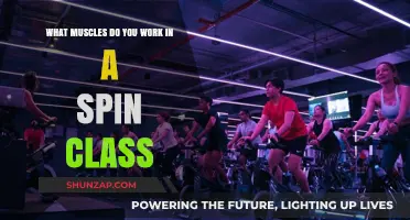 Spin Class Muscle Workout: Targeting Legs, Core, and Upper Body