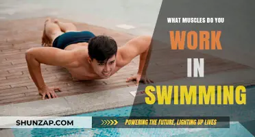 Swimming's Full-Body Workout: Muscles Engaged in Every Stroke