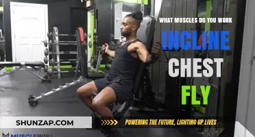 Incline Chest Fly: Targeted Muscles for Upper Body Strength