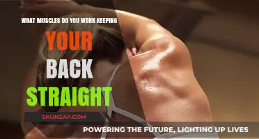 Strengthen Your Core: Muscles Engaged in Maintaining a Straight Back