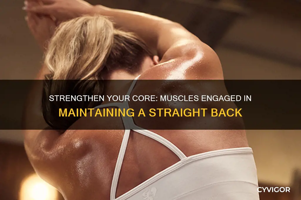 what muscles do you work keeping your back straight