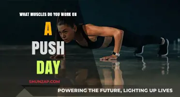 Push Day Power: Targeting Chest, Shoulders, and Triceps Muscles