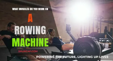 Rowing Machine Muscles: A Full-Body Workout Breakdown
