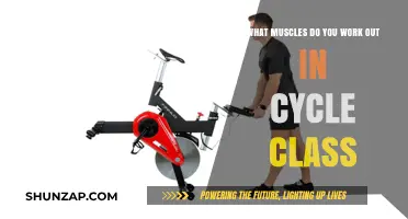 Cycle Class Muscles: A Full-Body Workout Breakdown for Fitness Enthusiasts