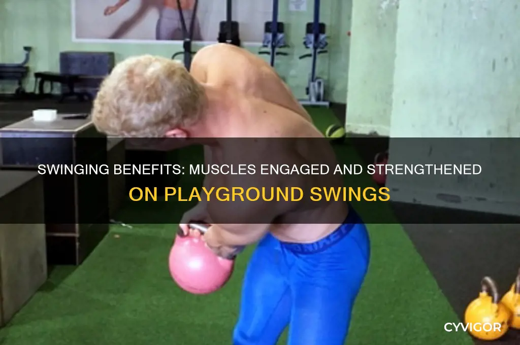what muscles do you work out on the swings