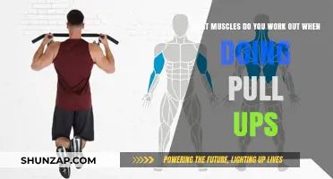 Pull-Ups: Targeting Back, Arms, and Core Muscles for Strength