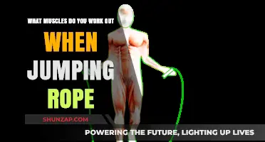 Jump Rope Muscles: Full-Body Workout Benefits and Targeted Groups
