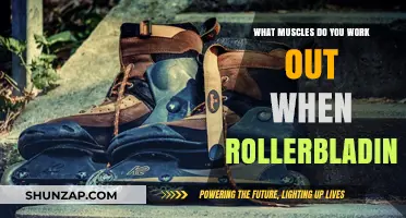 Rollerblading Workout: Targeted Muscles for Strength and Endurance