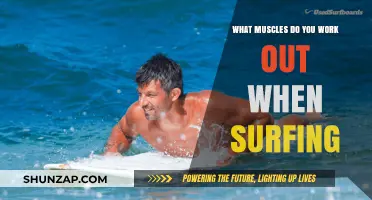 Surfing's Full-Body Workout: Muscles Engaged While Riding Waves