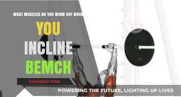 Incline Bench Press: Targeted Muscles for Upper Body Strength