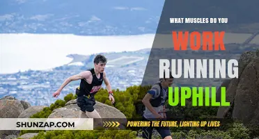 Running Uphill: Muscles Engaged and Strengthened in Incline Training