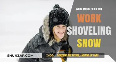 Snow Shoveling Workout: Muscles Engaged and Strengthened in Winter