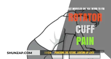 Effective Exercises to Strengthen Muscles and Relieve Rotator Cuff Pain