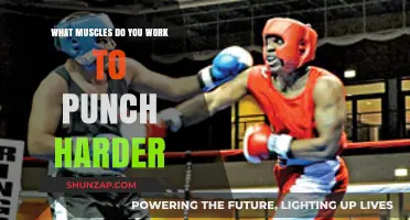 Punch Harder: Key Muscles for Power and Technique Revealed
