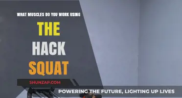 Hack Squat Muscles: Targeted Lower Body Strength Training Explained