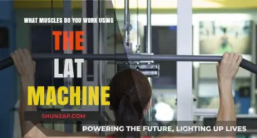 Lat Machine Muscles: Targeting Back, Arms, and Core Strength