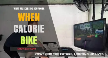 Calorie Bike Workout: Targeted Muscles for Effective Fat Burning