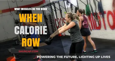 Calorie Row Muscles: A Full-Body Workout Breakdown