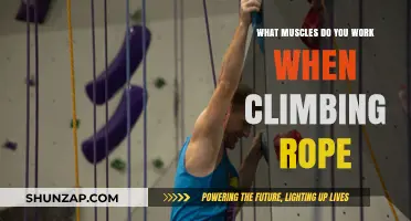 Climbing Rope: A Full-Body Workout Targeting Key Muscle Groups