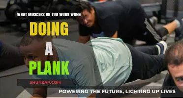 Plank Power: Targeted Muscles for Core Strength and Stability