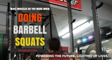 Barbell Squats: Targeted Muscles and Full-Body Strength Benefits