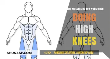 High Knees Workout: Targeted Muscles and Full-Body Benefits Explained