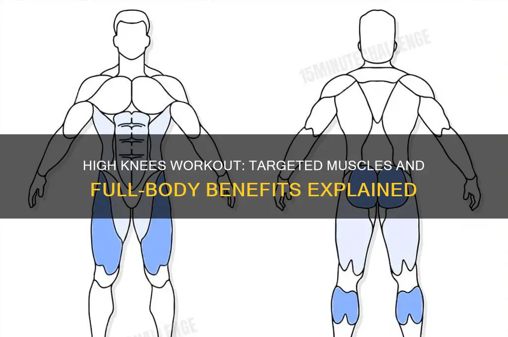 what muscles do you work when doing high knees