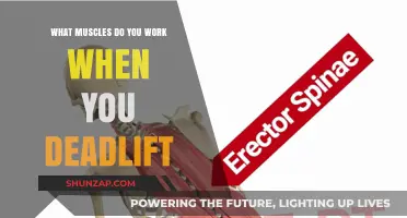Deadlift Muscles: Unlocking Full-Body Strength and Core Engagement