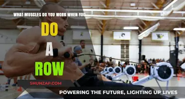 Rowing Benefits: Targeted Muscles and Full-Body Strength Training Explained