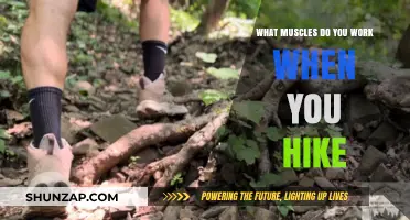 Hiking's Full-Body Benefits: Muscles Engaged on Every Trail Adventure