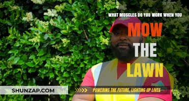 Mowing the Lawn: A Full-Body Workout Targeting Key Muscle Groups
