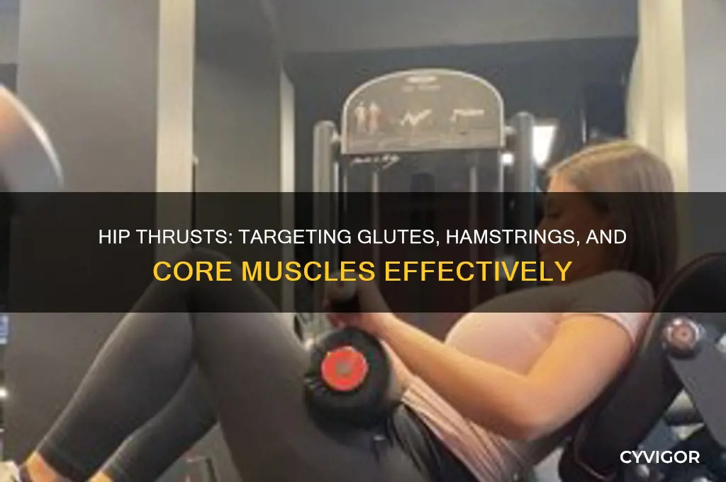 what muscles do you work while doing hip thrusts