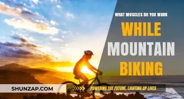 Mountain Biking Muscles: A Full-Body Workout Explained