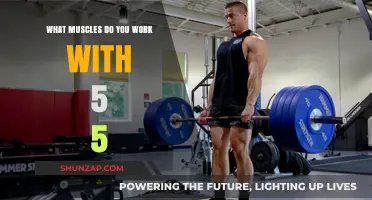 Unleash Strength: Muscles Targeted in the 5x5 Workout Routine