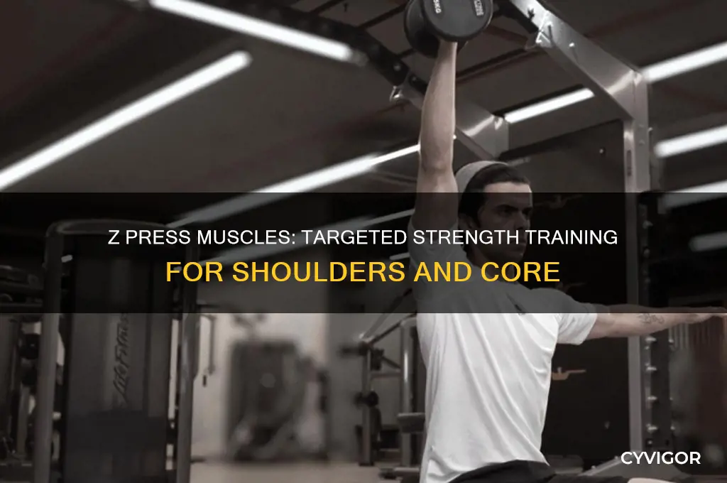 what muscles do z press work