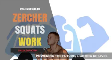 Zercher Squats: Target Muscles and Full-Body Benefits Explained
