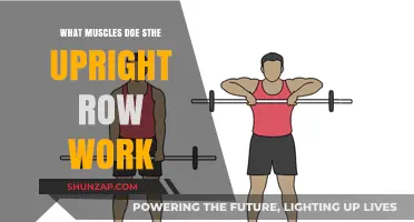 Upright Row Muscles: Targeted Areas and Benefits Explained