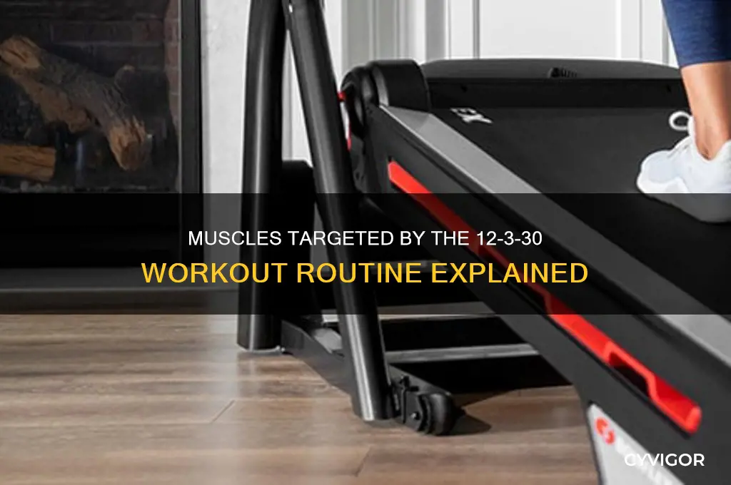 what muscles does 12 3 30 work
