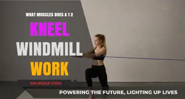 Kneel Windmill Exercise: Targeted Muscles and Benefits Explained