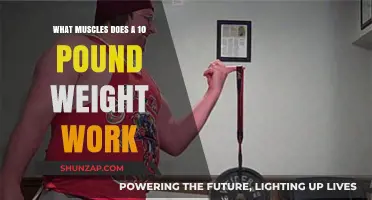 Effective Muscle Engagement with a 10-Pound Weight: A Comprehensive Guide