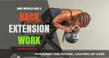 Back Extensions: Targeted Muscles and Benefits for Core Strength